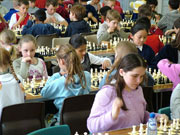 品质保证的自动攻击网站工具下载